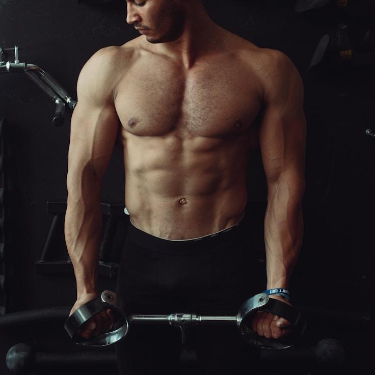 Professional gym interior with weight equipment